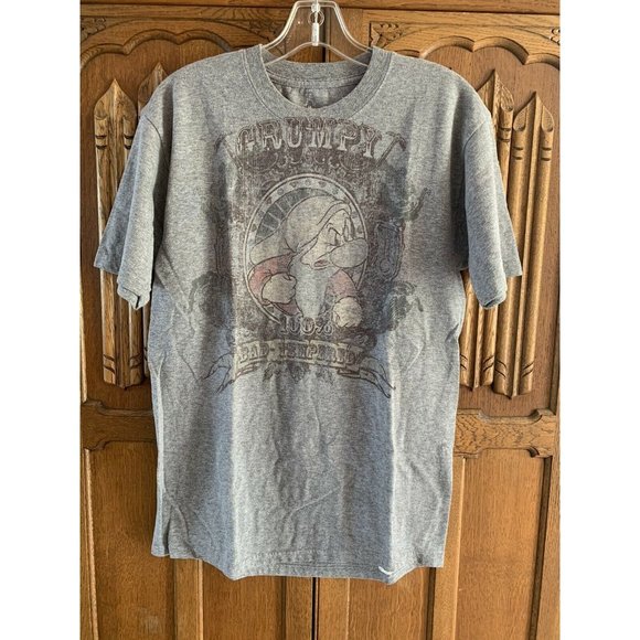 Haynes Other - Disneyland Resort by Haynes Grumpy T shirt sz M